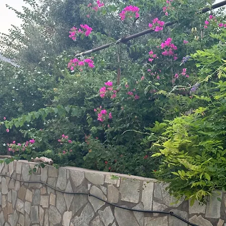 Hébergement de vacances Mani Spot In Almiro *