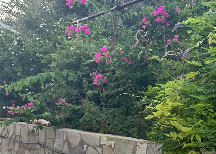 度假居 Mani Spot In Almiro *